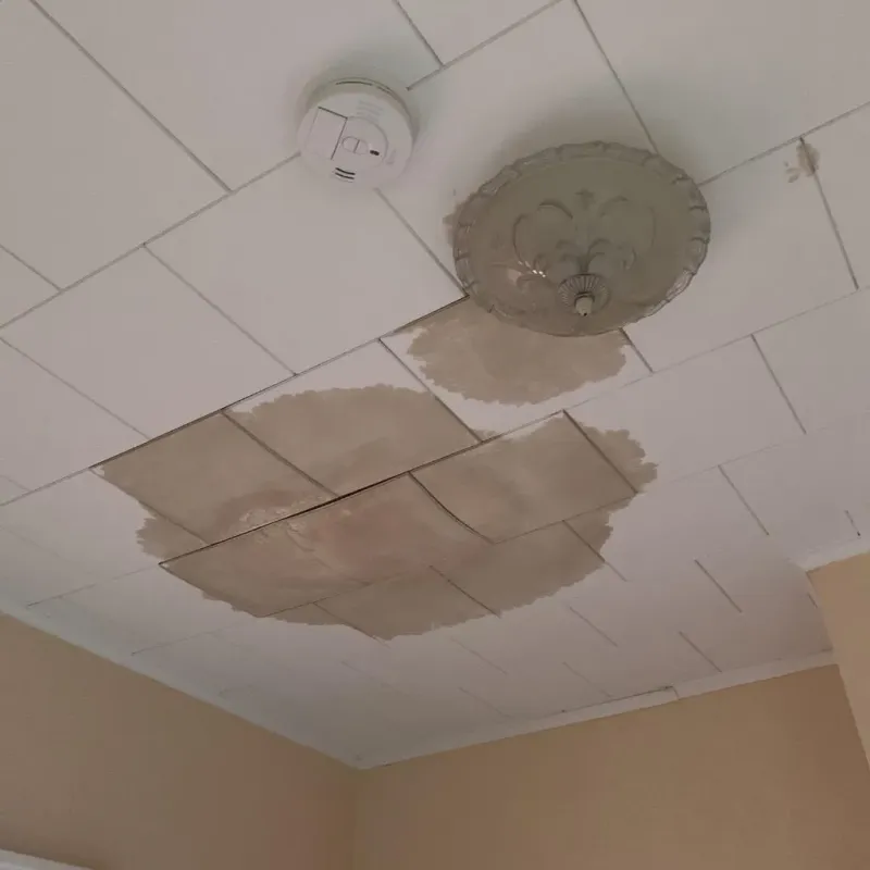 Ceiling Water Damage Repair in Collegedale, TN