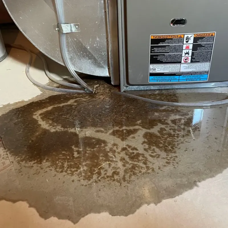 Pipe Burst and Leak Restoration in Collegedale, TN